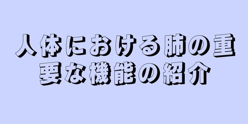 人体における肺の重要な機能の紹介