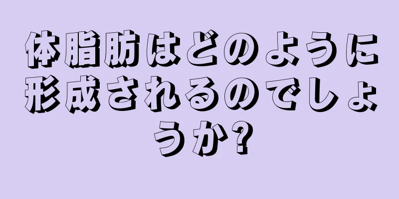 体脂肪はどのように形成されるのでしょうか?