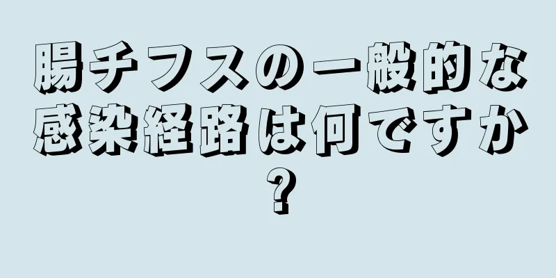 腸チフスの一般的な感染経路は何ですか?