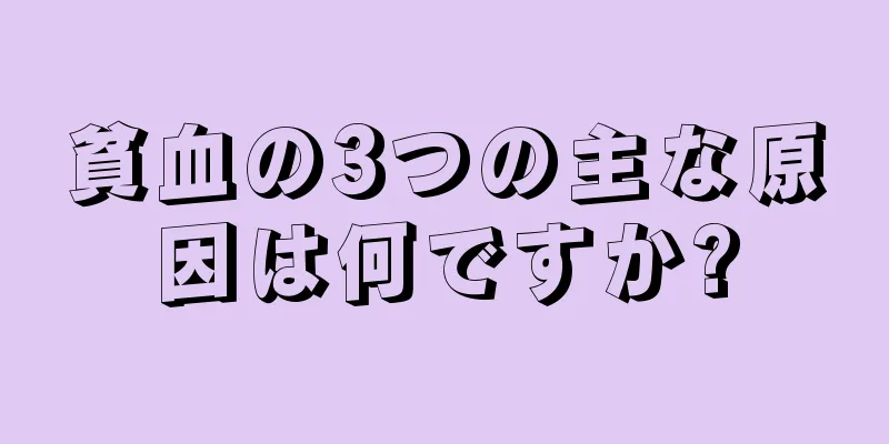 貧血の3つの主な原因は何ですか?