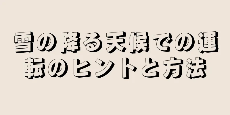 雪の降る天候での運転のヒントと方法