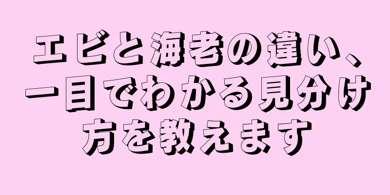 エビと海老の違い、一目でわかる見分け方を教えます