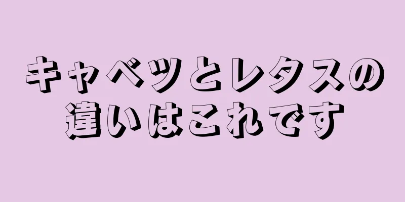 キャベツとレタスの違いはこれです