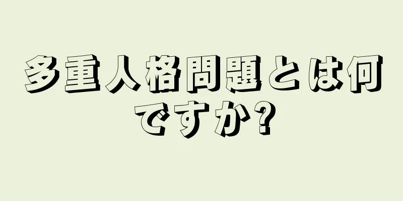 多重人格問題とは何ですか?