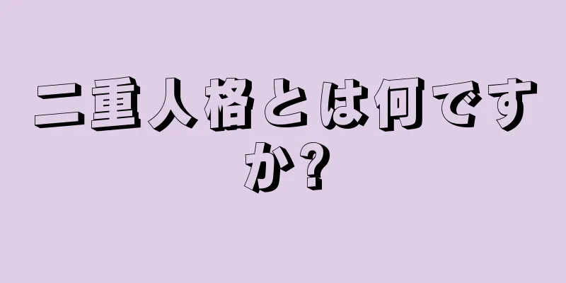 二重人格とは何ですか?