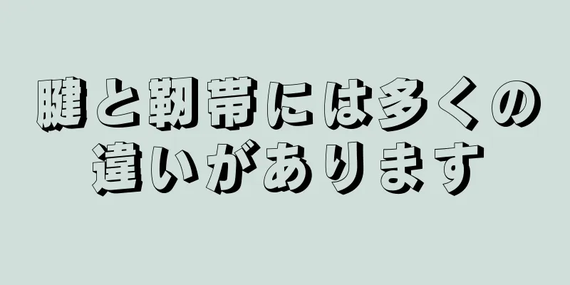 腱と靭帯には多くの違いがあります