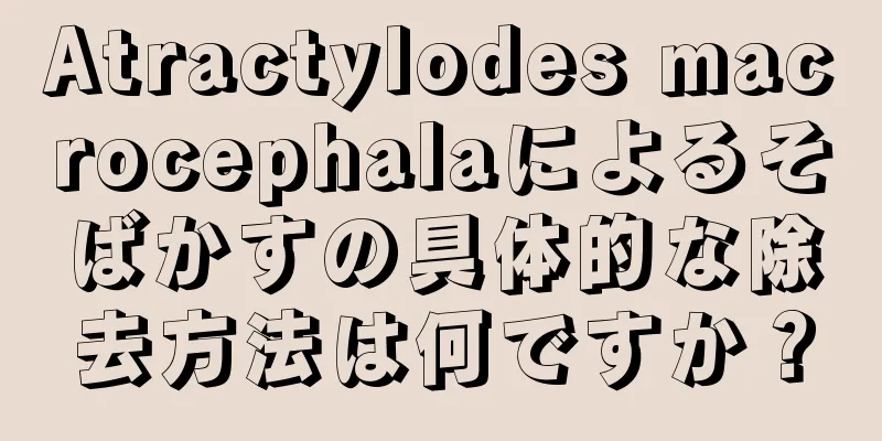 Atractylodes macrocephalaによるそばかすの具体的な除去方法は何ですか？