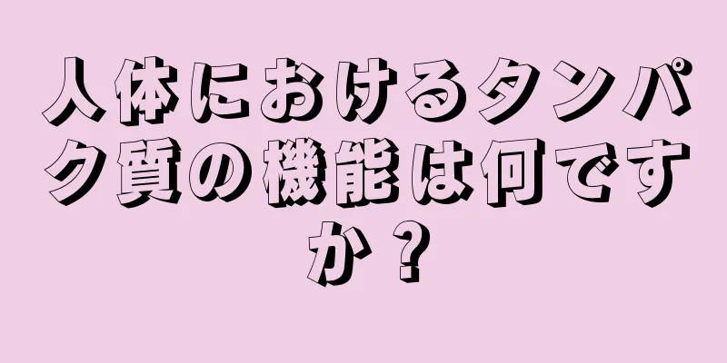 人体におけるタンパク質の機能は何ですか？