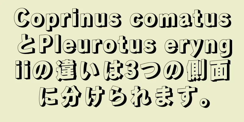 Coprinus comatusとPleurotus eryngiiの違いは3つの側面に分けられます。