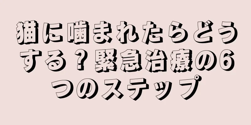 猫に噛まれたらどうする？緊急治療の6つのステップ