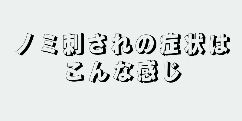 ノミ刺されの症状はこんな感じ