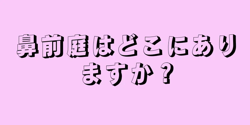 鼻前庭はどこにありますか？