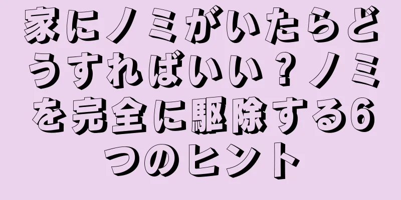 家にノミがいたらどうすればいい？ノミを完全に駆除する6つのヒント