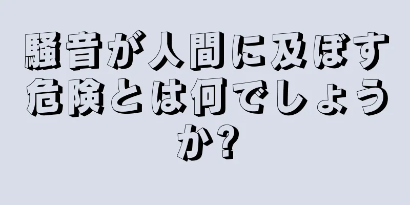 騒音が人間に及ぼす危険とは何でしょうか?