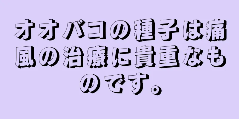 オオバコの種子は痛風の治療に貴重なものです。