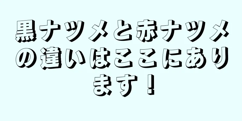 黒ナツメと赤ナツメの違いはここにあります！