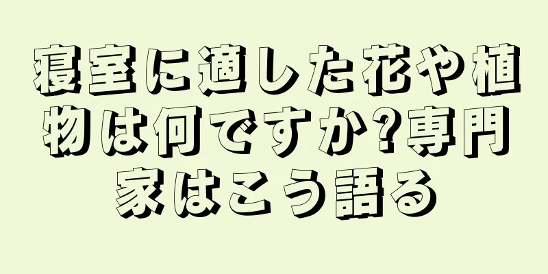 寝室に適した花や植物は何ですか?専門家はこう語る