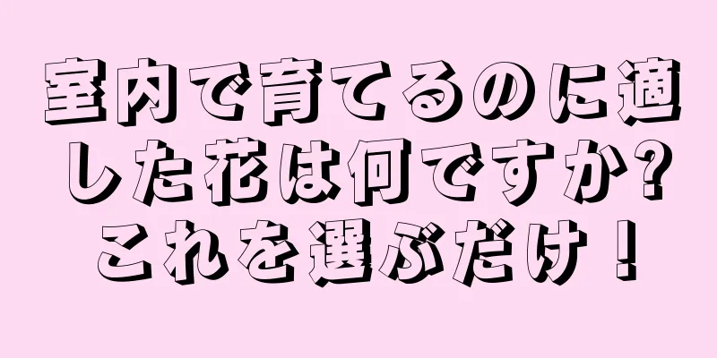 室内で育てるのに適した花は何ですか?これを選ぶだけ！