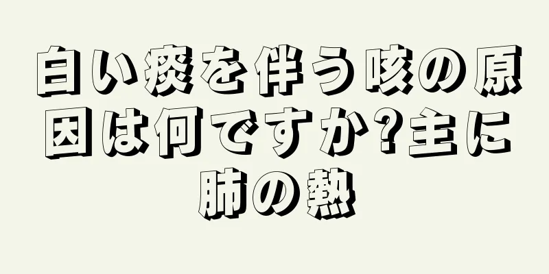 白い痰を伴う咳の原因は何ですか?主に肺の熱