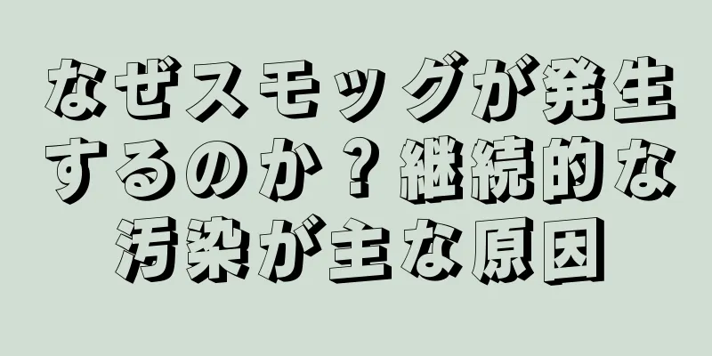 なぜスモッグが発生するのか？継続的な汚染が主な原因