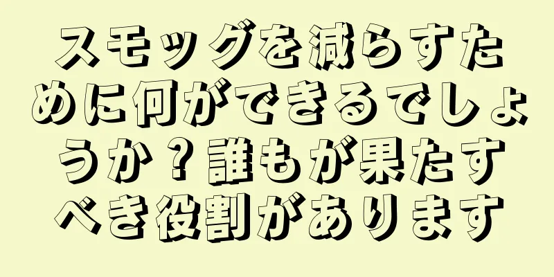 スモッグを減らすために何ができるでしょうか？誰もが果たすべき役割があります