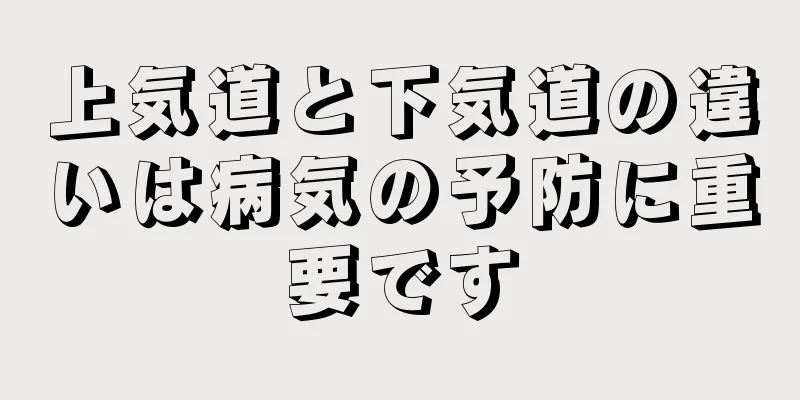 上気道と下気道の違いは病気の予防に重要です