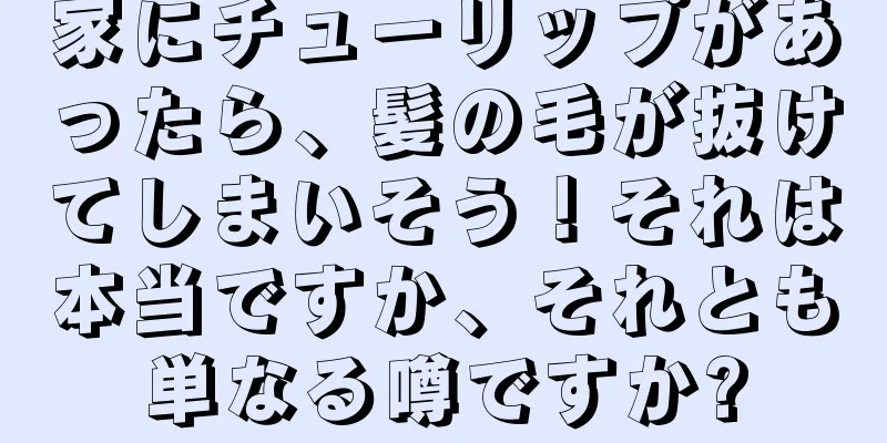 家にチューリップがあったら、髪の毛が抜けてしまいそう！それは本当ですか、それとも単なる噂ですか?