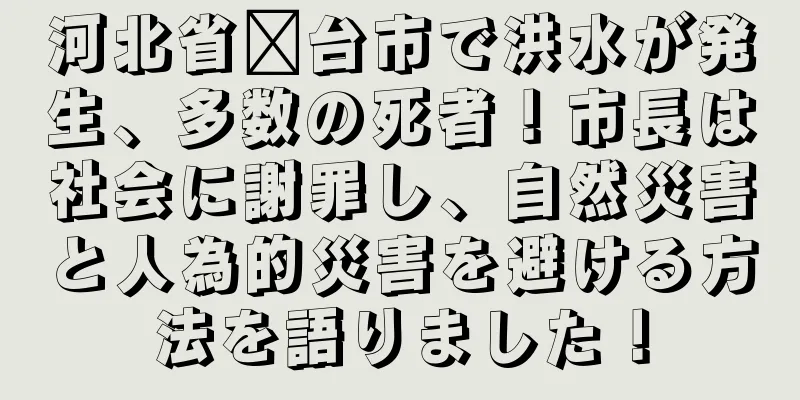 河北省邢台市で洪水が発生、多数の死者！市長は社会に謝罪し、自然災害と人為的災害を避ける方法を語りました！