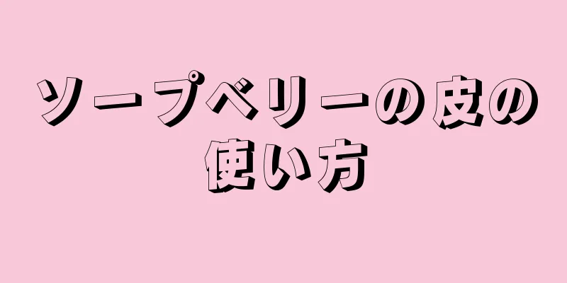 ソープベリーの皮の使い方