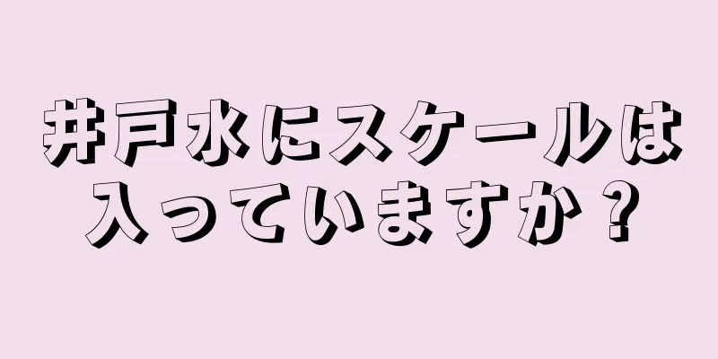 井戸水にスケールは入っていますか？