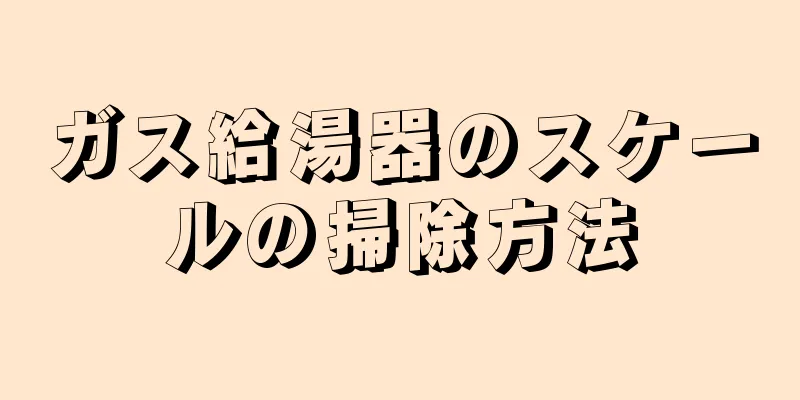 ガス給湯器のスケールの掃除方法