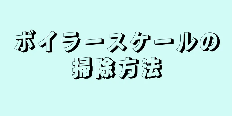 ボイラースケールの掃除方法