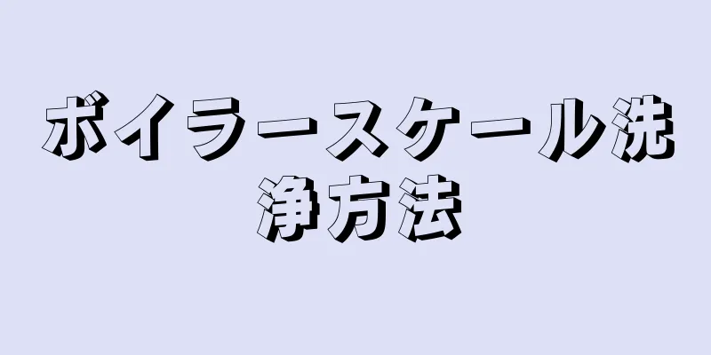 ボイラースケール洗浄方法