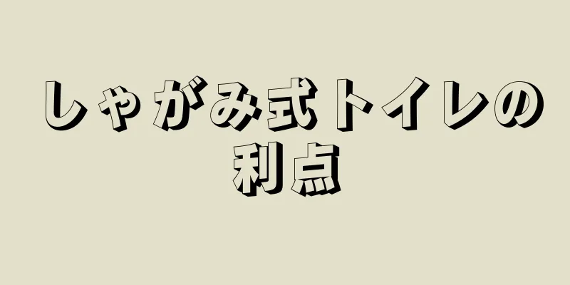 しゃがみ式トイレの利点