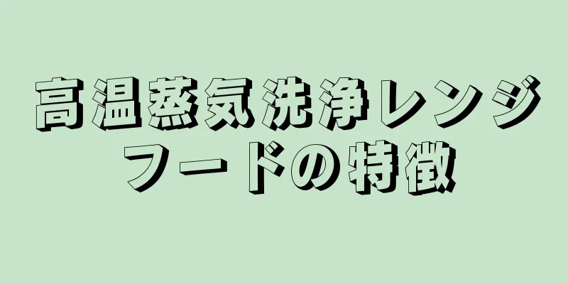 高温蒸気洗浄レンジフードの特徴