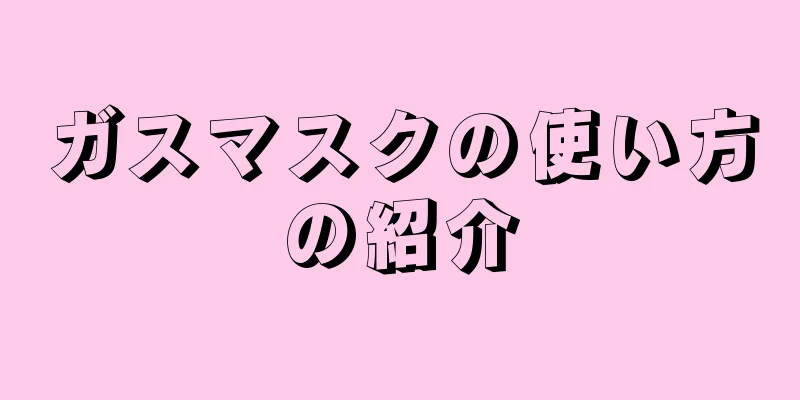 ガスマスクの使い方の紹介