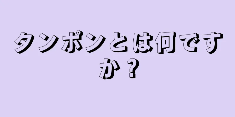 タンポンとは何ですか？