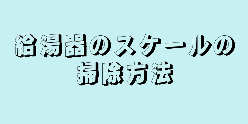 給湯器のスケールの掃除方法