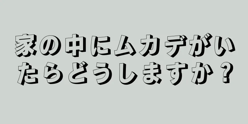 家の中にムカデがいたらどうしますか？