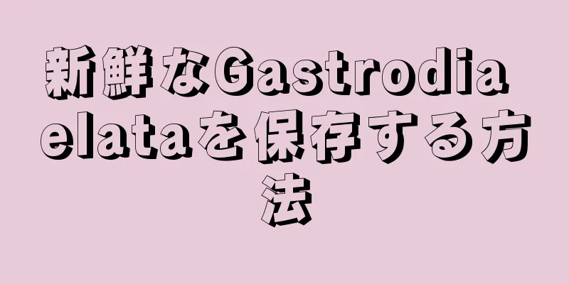 新鮮なGastrodia elataを保存する方法