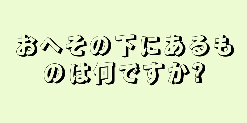 おへその下にあるものは何ですか?