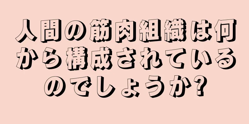 人間の筋肉組織は何から構成されているのでしょうか?