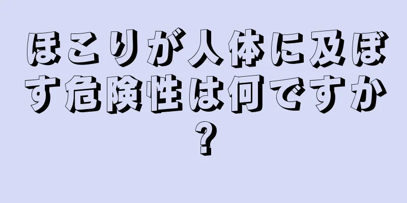 ほこりが人体に及ぼす危険性は何ですか?