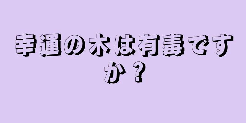 幸運の木は有毒ですか？