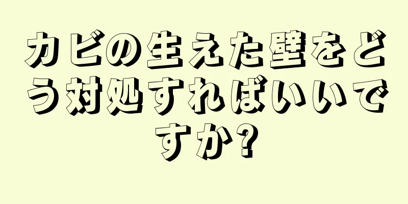 カビの生えた壁をどう対処すればいいですか?