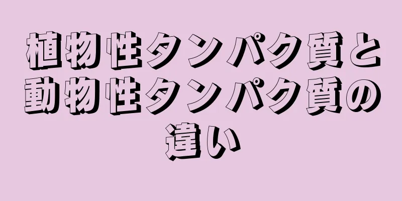 植物性タンパク質と動物性タンパク質の違い