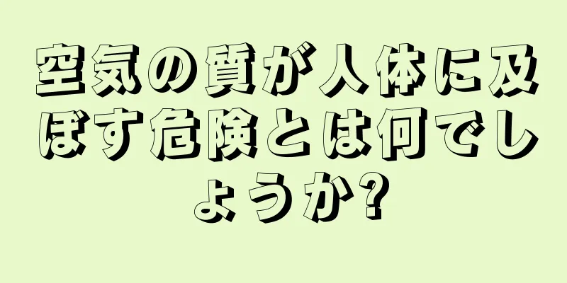 空気の質が人体に及ぼす危険とは何でしょうか?