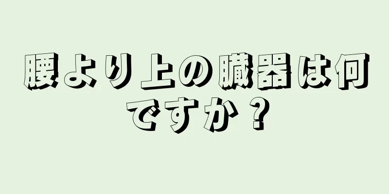 腰より上の臓器は何ですか？