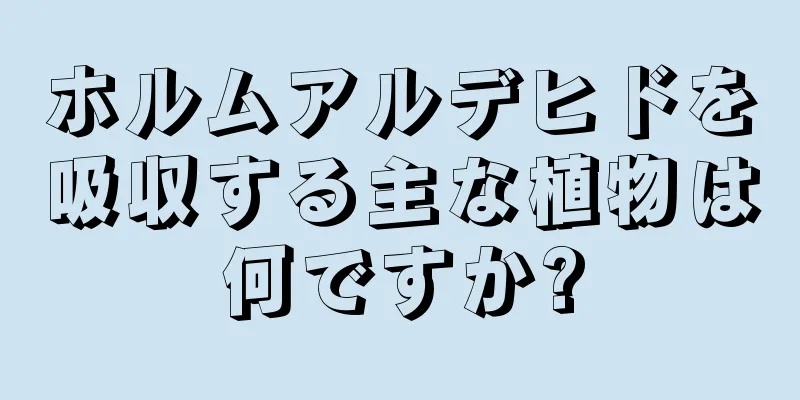 ホルムアルデヒドを吸収する主な植物は何ですか?