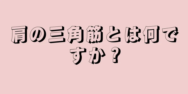 肩の三角筋とは何ですか？